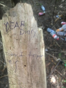 Found this in the local woods today
