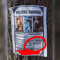 Found this posted on my walk today about a missing cat and his defining feature