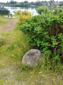 Found this rock watching me at a park