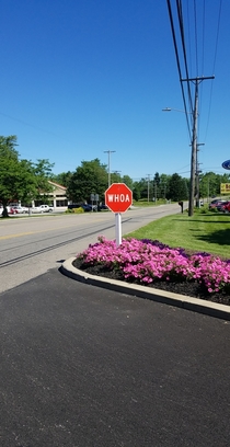 Found this stop sign in Amish country