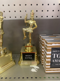 Found this trophy and figured some of yall deserve it
