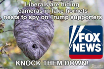 Fox News is never wrong