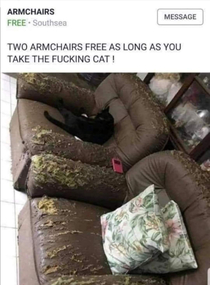 Free chairs