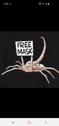 Free face mask