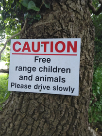 Free range Children