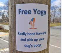 Free yoga