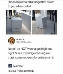 Fridge chase