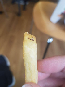 Friend found doge chip