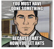 Friend is complaining she has ants I havent done anything to get ants