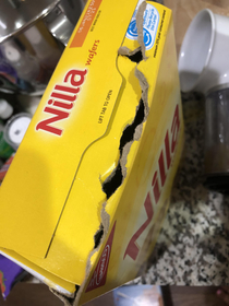 Friends husband was excited they had vanilla wafers in the house 