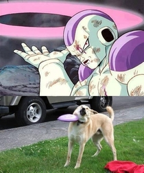 Frieza vs Dog