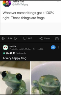 Frog approves