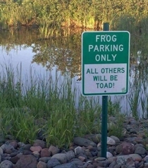Frog parking only