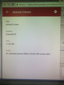 From my towns local crime report Unorthodox but effective