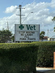 From the vet down my road