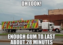 Fruit Stripe Gum