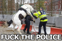 Fuck the Police