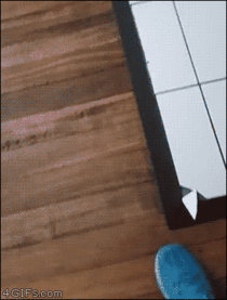 Fuck yo floor tile