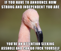 Fuck you in particular Flamingo
