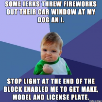 Fuck you My dog is scared to hell of fireworks