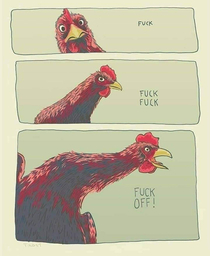 Fucking Chickens