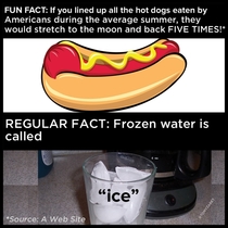 Fun Fact