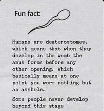 Fun Fact