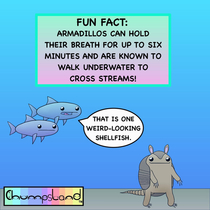 Fun Fact about Armadillos 