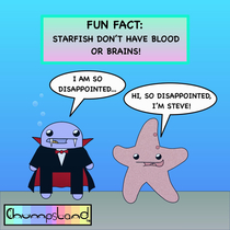 Fun Fact About Starfish 