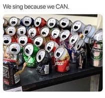 Funny choir We sing because we can