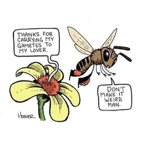 Funny sciencepollination