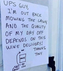 Funny UPS Guy