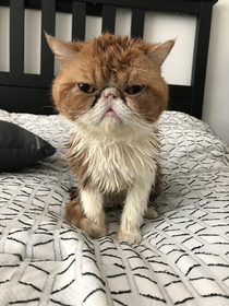 Garth hates his bathtime