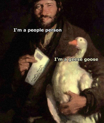 geese goose it is