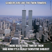 Genders Are Like The Twin Towers