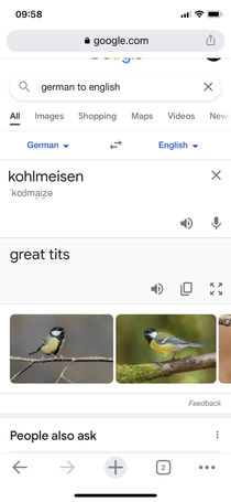 German clothing company wanted to know the english translation for a bird
