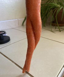 Get this carrot a bathroomnow