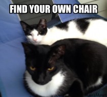 get your own chair