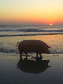 GF took a picture of me at the beach