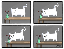 Ghost Cat