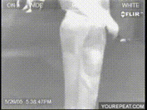 Giant fart picked up on thermal camera