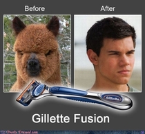 Gillette Fusion