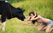 Girl Facing Cow with Fun