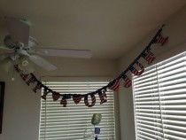 Girlfriend bought th of July decorations at the dollar store Look what we got