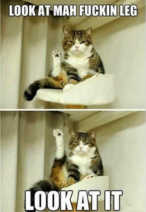 Girls when they shave their legs