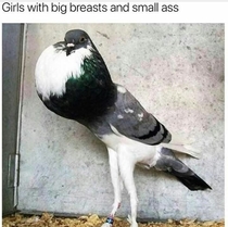Girls with big breasts and small ass