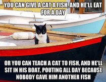 Give a cat a fish