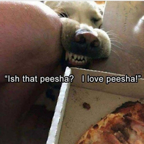 Give Me PEESHA