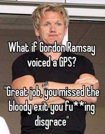 GIVE SOME GORDON RAMSAY LINES