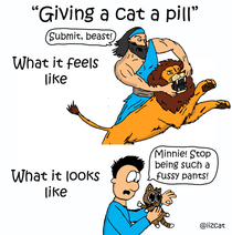 Giving a cat a pill OC